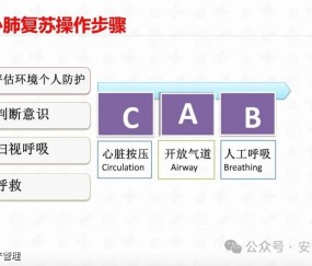 NGSPORTS-赛地聚焦：法联杯关键战热度飙升，深圳男篮伤情更新，引发热议，心理建设被强调的简单介绍