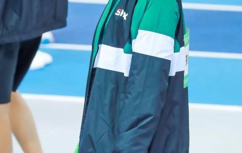 NGSPORTS-Ning新星回归赛场表现惊艳，尤文图斯未来可期！的简单介绍