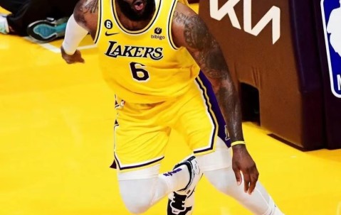 NG体育-詹姆斯新星晋级下一阶段表现突出，法国队前途光明！气势如虹延续的简单介绍